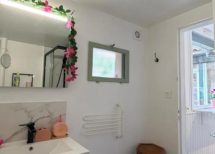 Apartment T2 Chartreuse Terrasse - Busca - Centre Toulouse