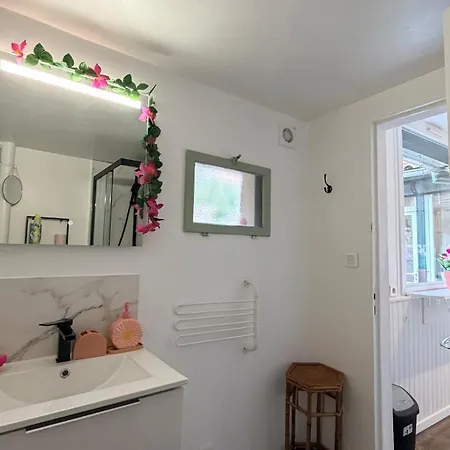 דירה T2 Chartreuse Terrasse - Busca - Centre טולוז